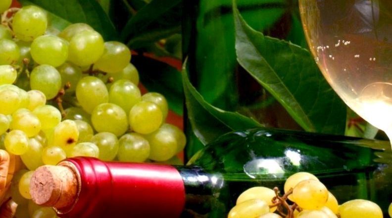 4,8 εκατ. ευρώ για προγράμματα προώθησης του ελληνικού κρασιού
